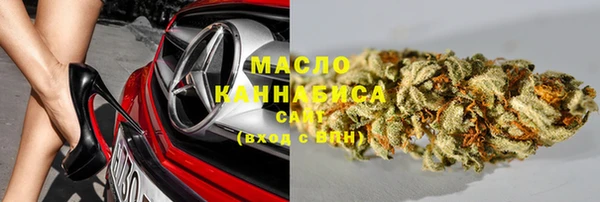 шишки Саяногорск