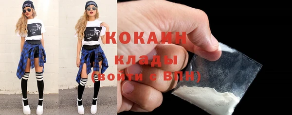 шишки Саяногорск