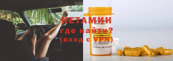 шишки Саяногорск