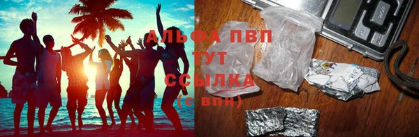 хмурый Алексин