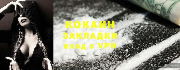 хмурый Алексин